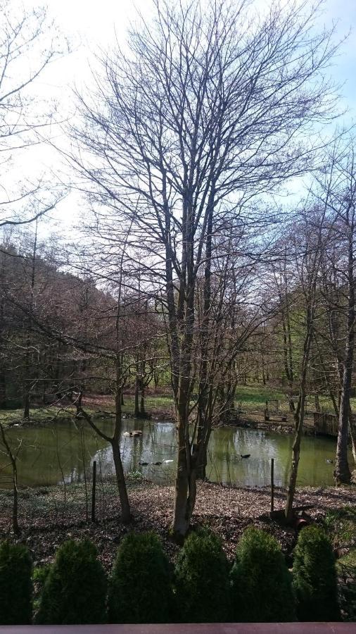 Ferienwohnung Am Ententeich Bad Marienberg Bagian luar foto